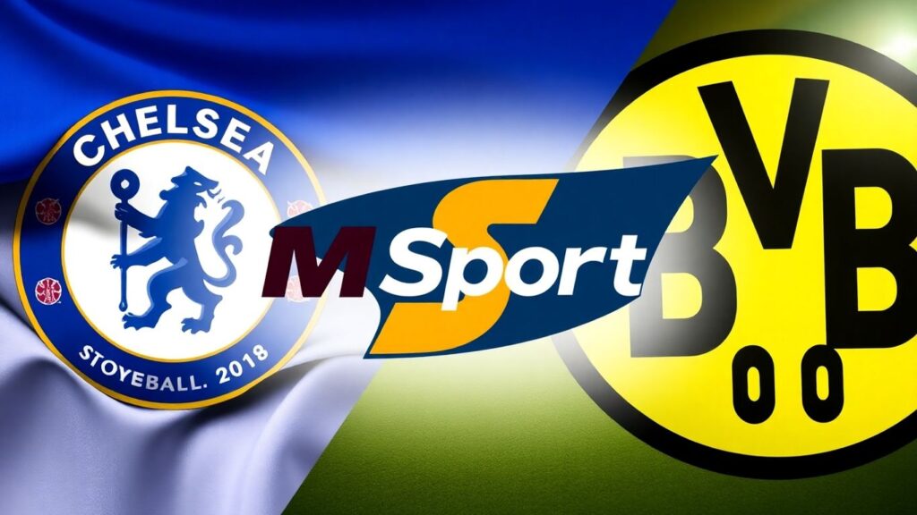 MSport, 첼시, 도르트문트 로고와 스포츠 경기장